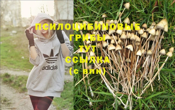 гидропоника Белокуриха