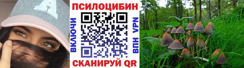 OMG ссылки  Городище  Галлюциногенные грибы Cubensis 